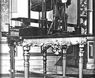 Photograph of Euphonia